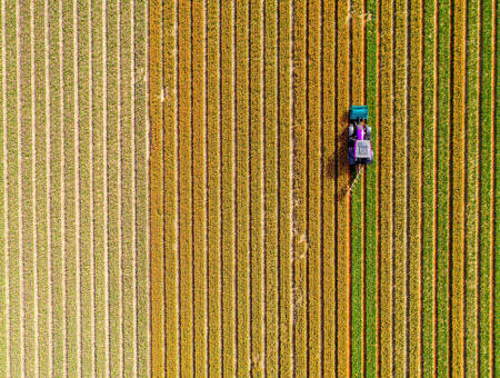 aerial shot of field 