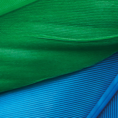 Green and blue fabric