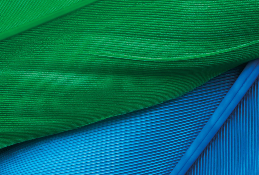 Green and blue fabric