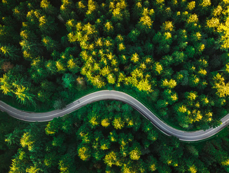 Ariel View Of A Forest With A Highway In The Middle