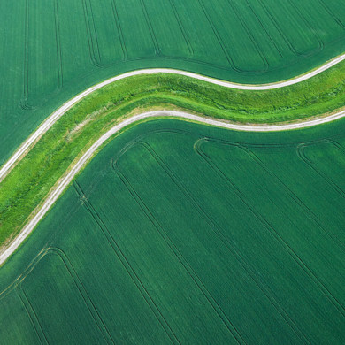 aerial shot of field 