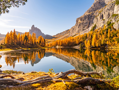 A Forest Next To A Lake In Autumn Time