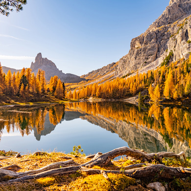 A Forest Next To A Lake In Autumn Time