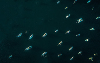 Yachts Sailing Across Calm, Open Waters Under A Clear Sky